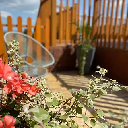 The Beehive -Stunning Views - Hot Tub - Romantic Launceston Exterior photo